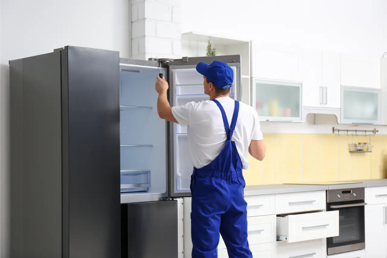Expert Fridge Repair Dubai